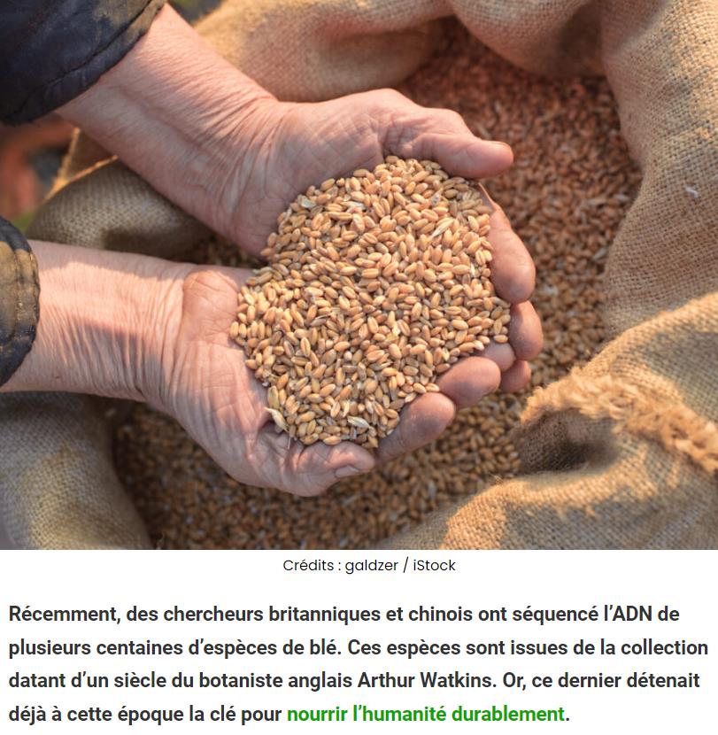 sciencepost - Il y a un siècle, ce botaniste avait déjà la solution pour nourrir la planète durablement