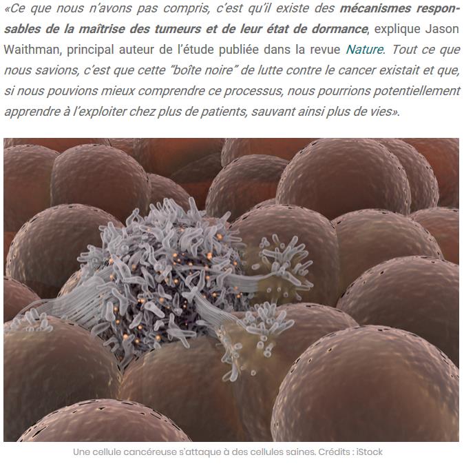 sciencepost.fr des-chercheurs-identifient-un-type-de-cellule-qui-endort-le-cancer.jpg