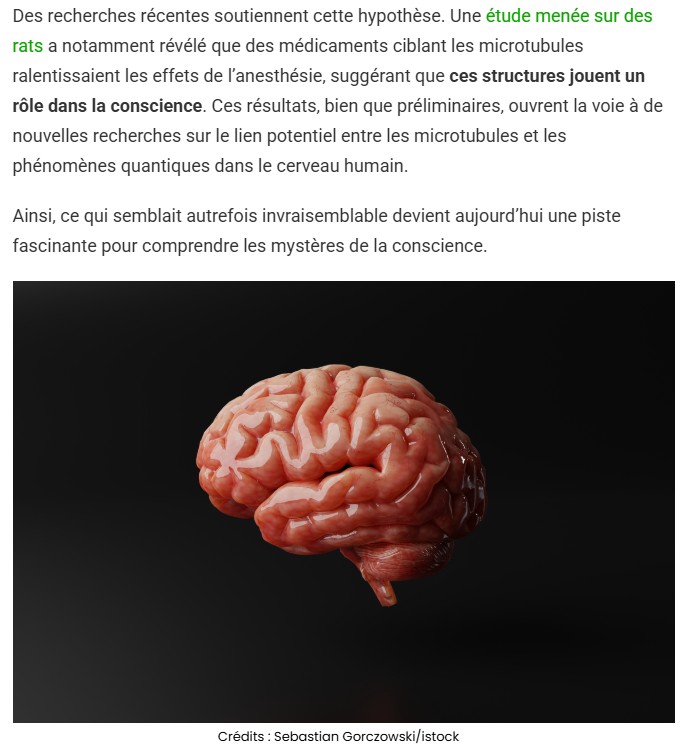 sciencepost - Et si la conscience humaine était un phénomène quantique ?