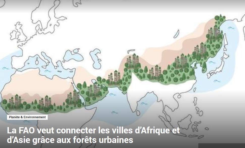 sciencepost.fr la-fao-veut-connecter-les-villes-dafrique-et-dasie-grace-aux-forets-urbaines.jpg