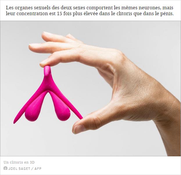 On sait enfin chez la souris pourquoi le clitoris est si sensible !