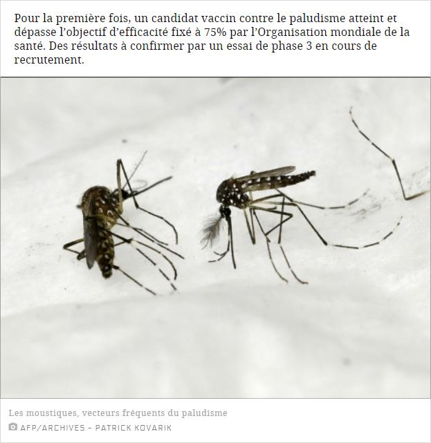 sciencesetavenir.fr premiere-77-d-efficacite-pour-un-vaccin-anti-paludisme.jpg