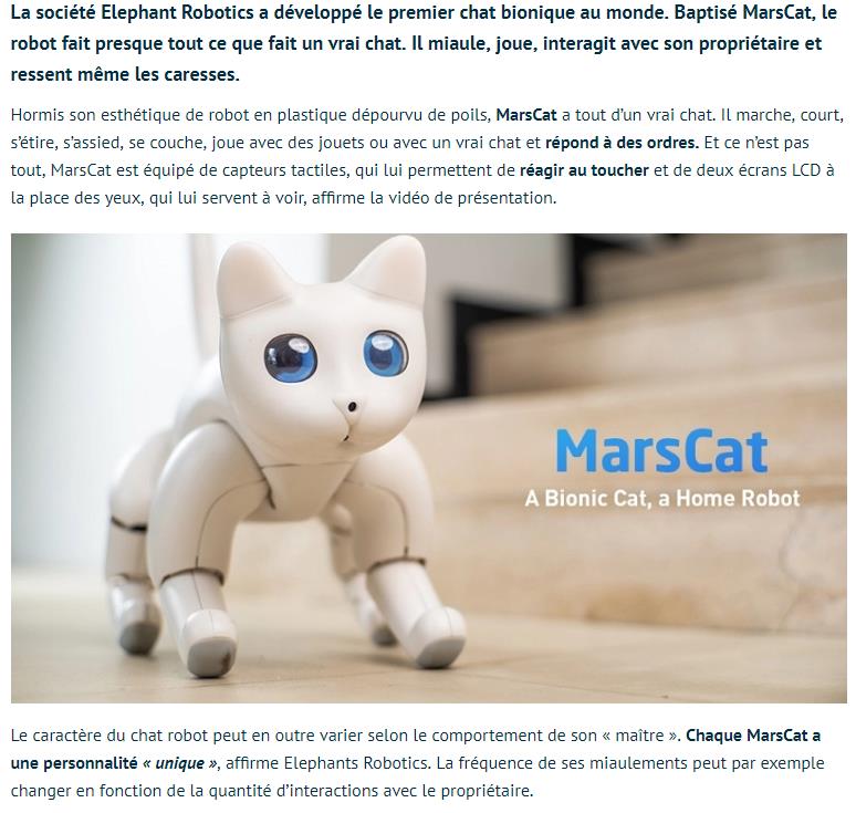 tomsguide.fr voici-premier-chat-bionique-au-monde-il-sappelle-marscat.jpg