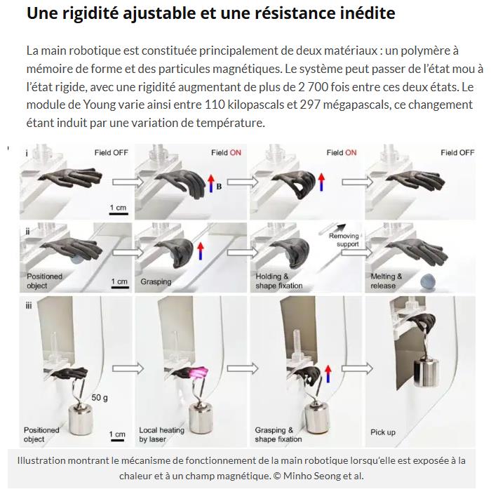 trustmyscience - Des chercheurs ont conçu un muscle magnétique capable de soulever 1 000 fois son poids