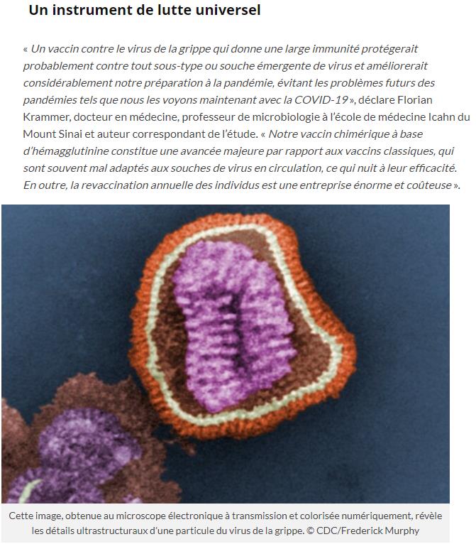 trustmyscience.com chercheurs-mettent-au-point-vaccin-universel-contre-grippe.jpg