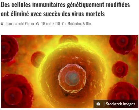 trustmyscience.com des-cellules-immunitaires-genetiquement-modifiees-ont-elimine-avec-succes-des-virus-mortels-chez-des-souris.jpg