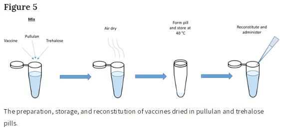 trustmyscience.com des-chercheurs-ont-trouve-un-moyen-de-conserver-les-vaccins-sans-refrigeration.jpg