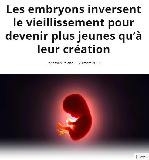 trustmyscience.com embryons-inversent-vieillissement-pour-devenir-plus-jeunes-qu-a-leur-creation.jpg