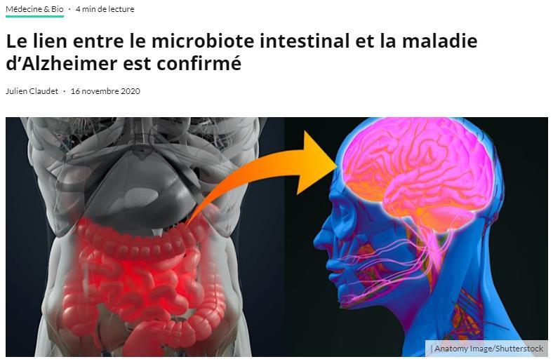 trustmyscience.com lien-microbiote-intestinal-maladie-alzheimer-confirme.jpg