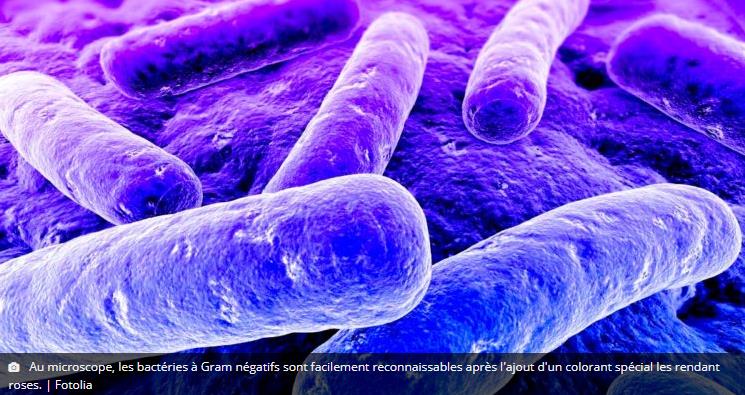 trustmyscience.com nouvel-antibiotique-modifie-pourrait-etre-l-arme-ultime-contre-des-bacteries-multiresistantes.jpg