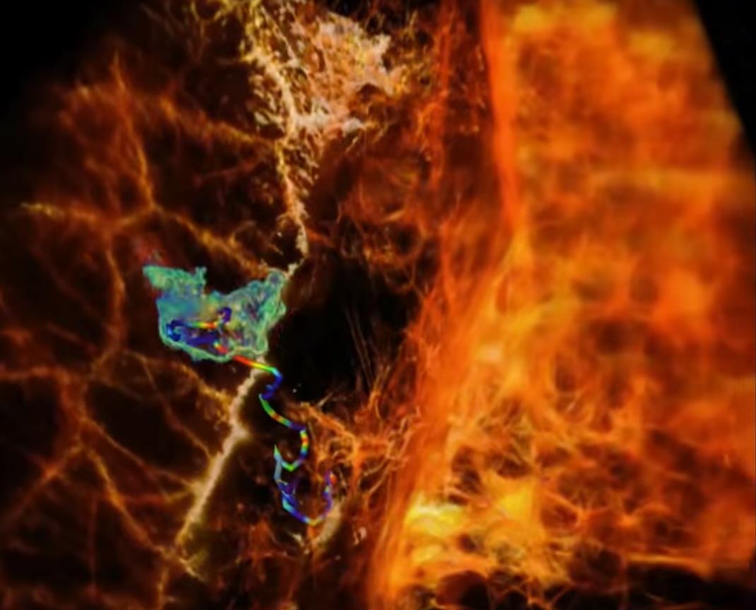 trustmyscience.com premiere-video-capturant-cellule-organisme.jpg