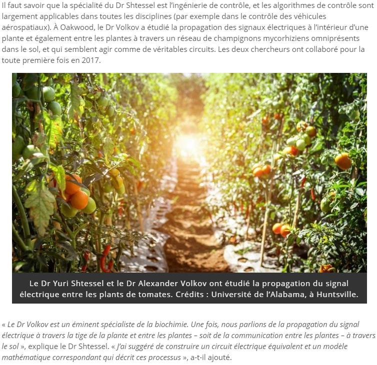 trustmyscience.com signalisation-electrique-detectee-entre-plants-tomates-questions-interessantes.jpg