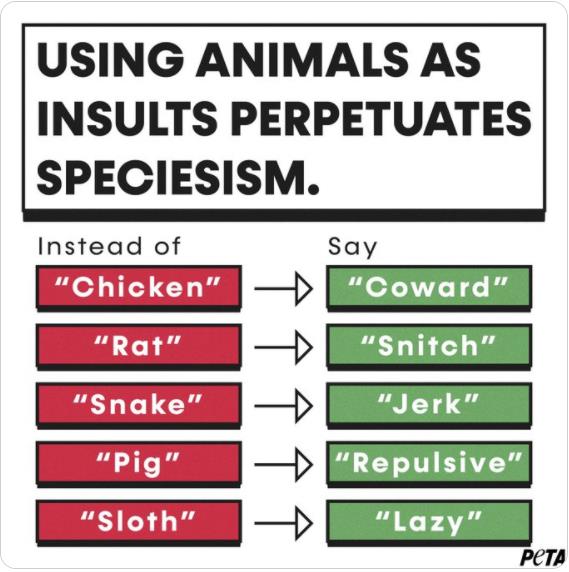 twitter.com peta Calling someone an animal as an insult reinforces the myth that humans are superior to other animals.jpg