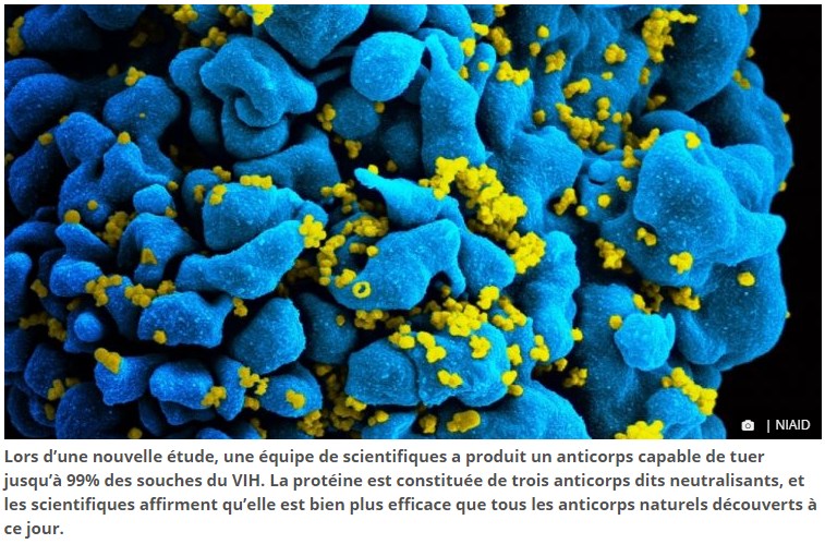 un-nouvel-anticorps-permet-de-lutter-a-99-pourcent-contre-le-vih.jpg
