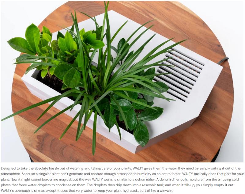yankodesign.com this-smart-planter-automatically-waters-your-plants-by-turning-humid-air-into-pure-water-one-day-it-could-solve-our-water-crisis-too.jpg