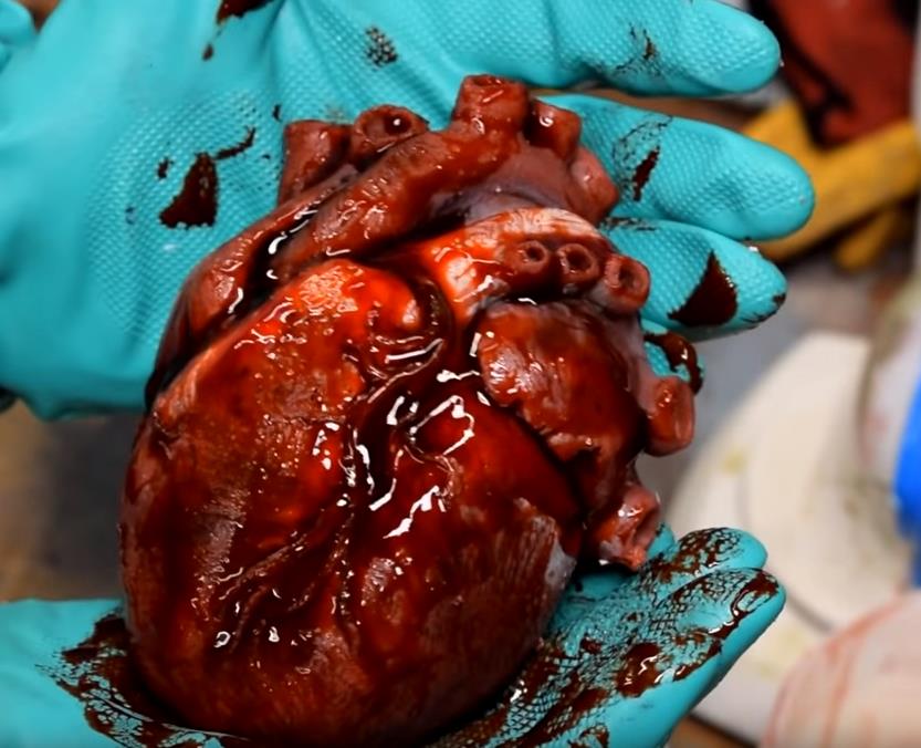 youtube.com 3D Printed Animatronic Heart Development Process.jpg