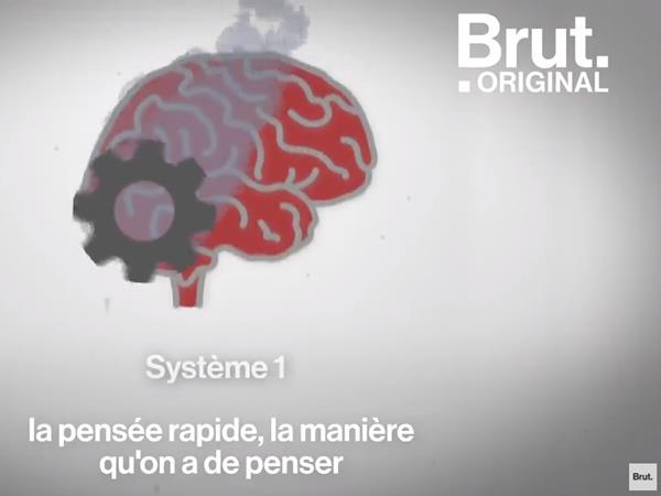 youtube.com Brut - Comment les biais cognitifs trompent notre cerveau.jpg