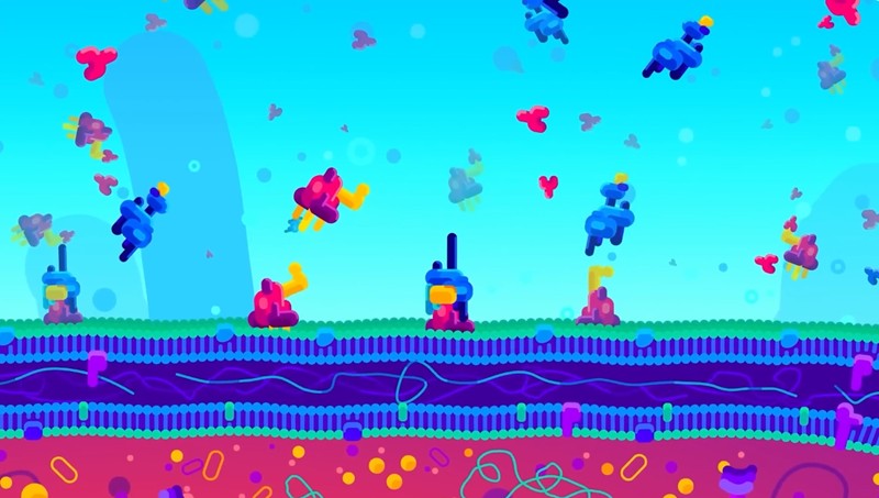 Kurzgesagt – In a Nutshell - De petites bombes dans le sang - Le système du complément