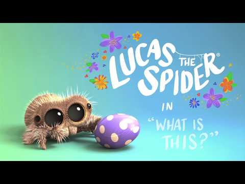 youtube.com Lucas The Spider – What Is This.jpg