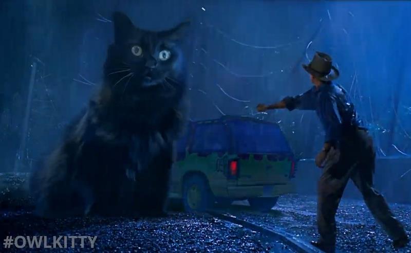 youtube.com OwlKitty Jurassic Park but with a Cat.jpg